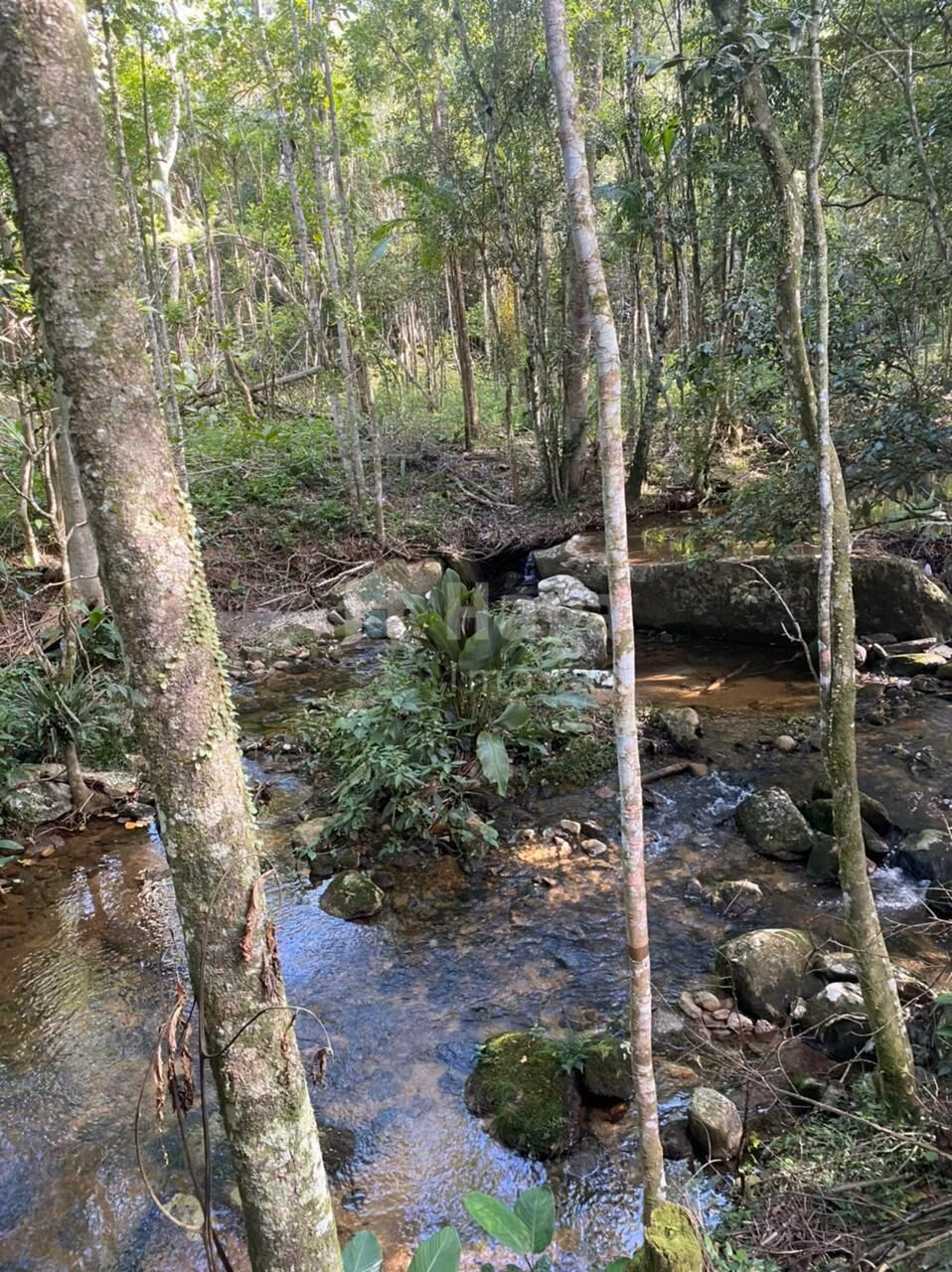 Country home of 5 acres in Canelinha, SC, Brazil