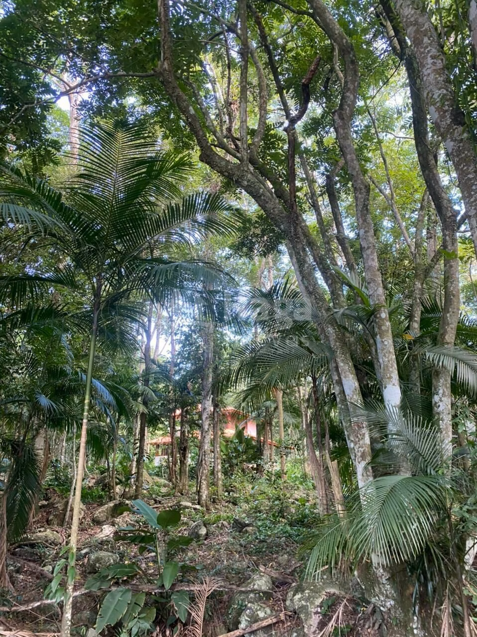 Country home of 5 acres in Canelinha, SC, Brazil
