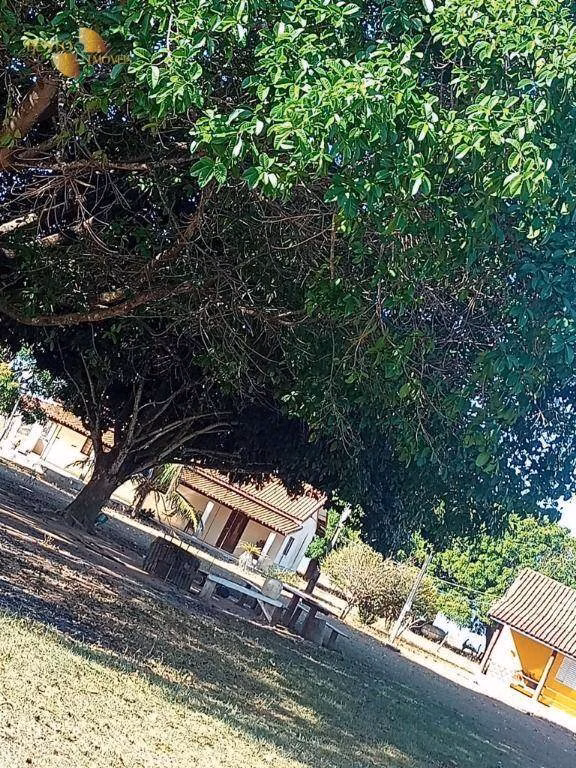 Fazenda de 21.000 ha em Diamantino, MT