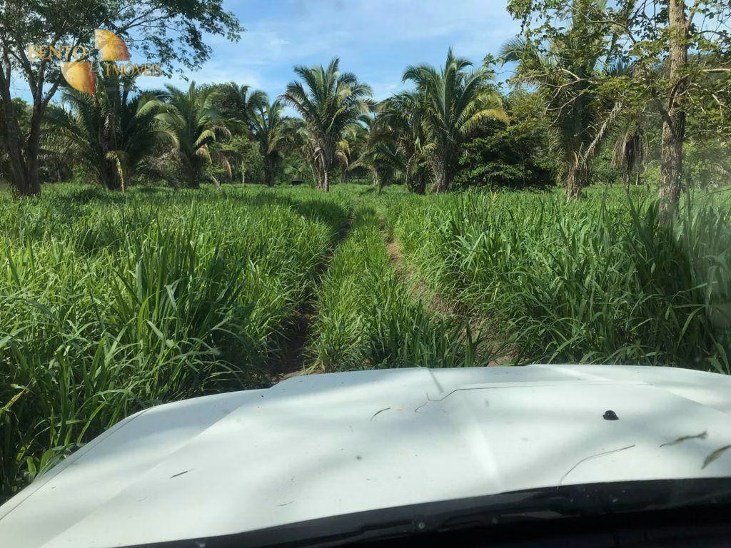 Fazenda de 1.240 ha em Jangada, MT