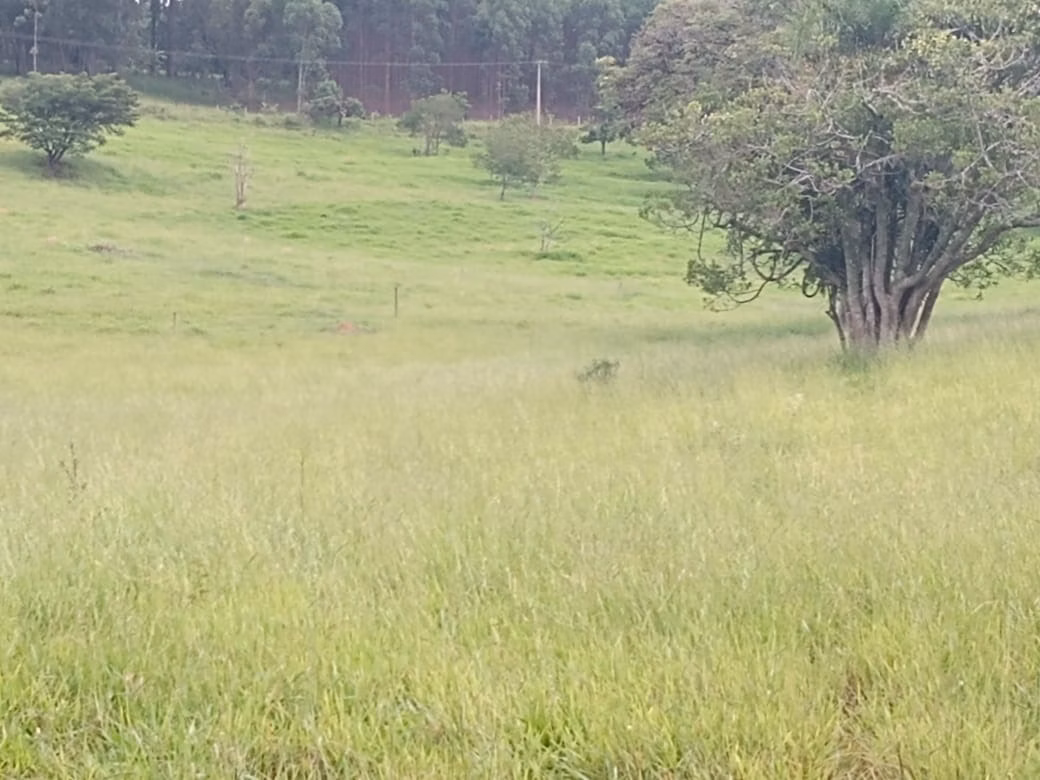 Terreno de 14 ha em Itapetininga, SP