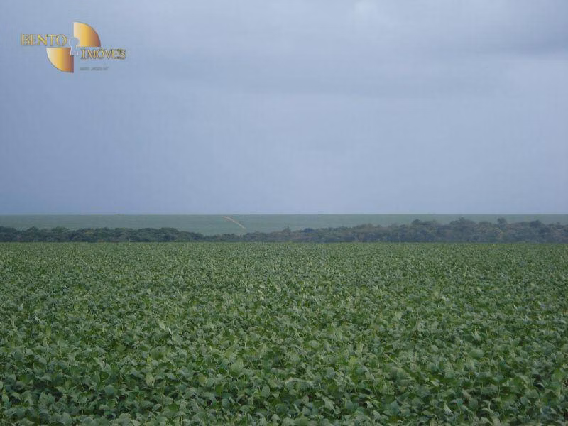 Fazenda de 2.461 ha em Rondonópolis, MT