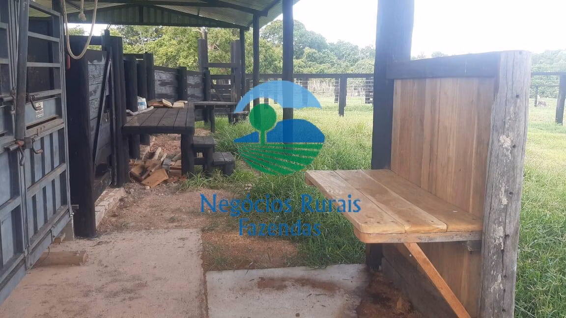 Fazenda de 484 ha em Crixás, GO