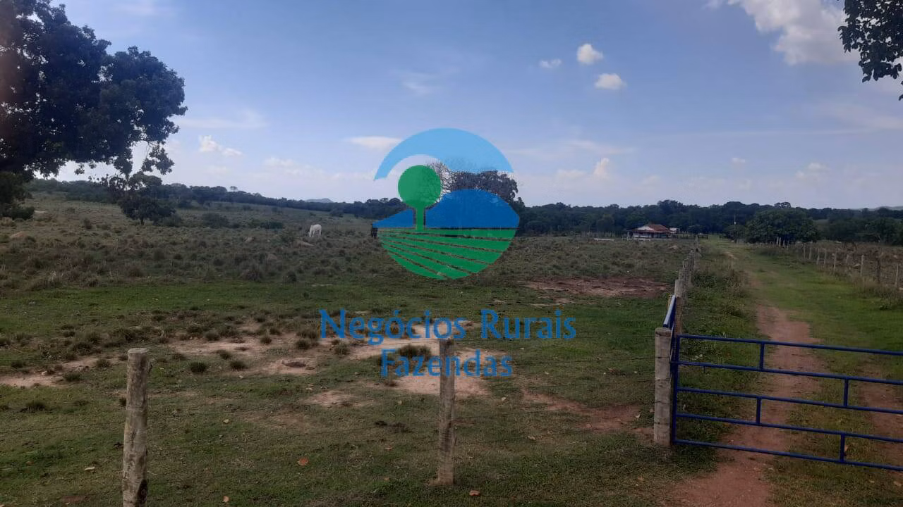 Fazenda de 484 ha em Crixás, GO