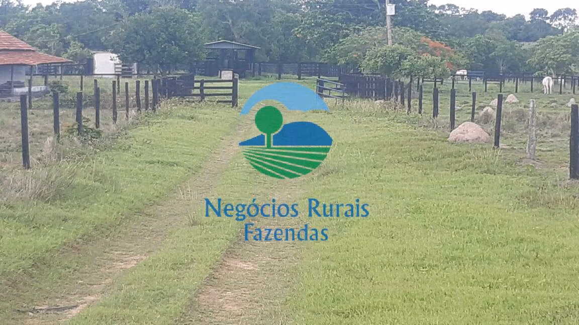 Fazenda de 484 ha em Crixás, GO