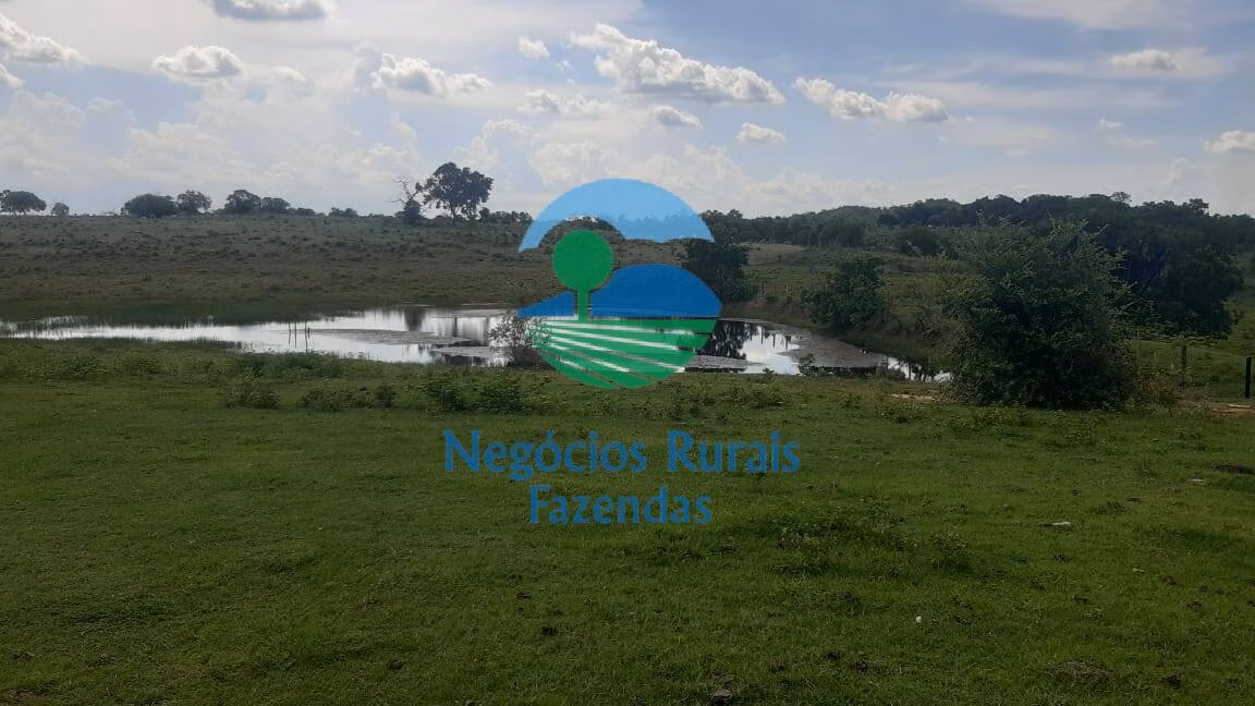 Fazenda de 484 ha em Crixás, GO
