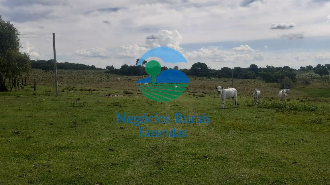 Fazenda de 484 ha em Crixás, GO