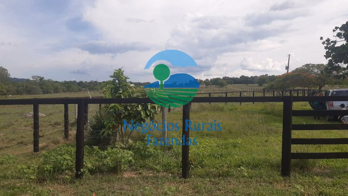 Fazenda de 484 ha em Crixás, GO