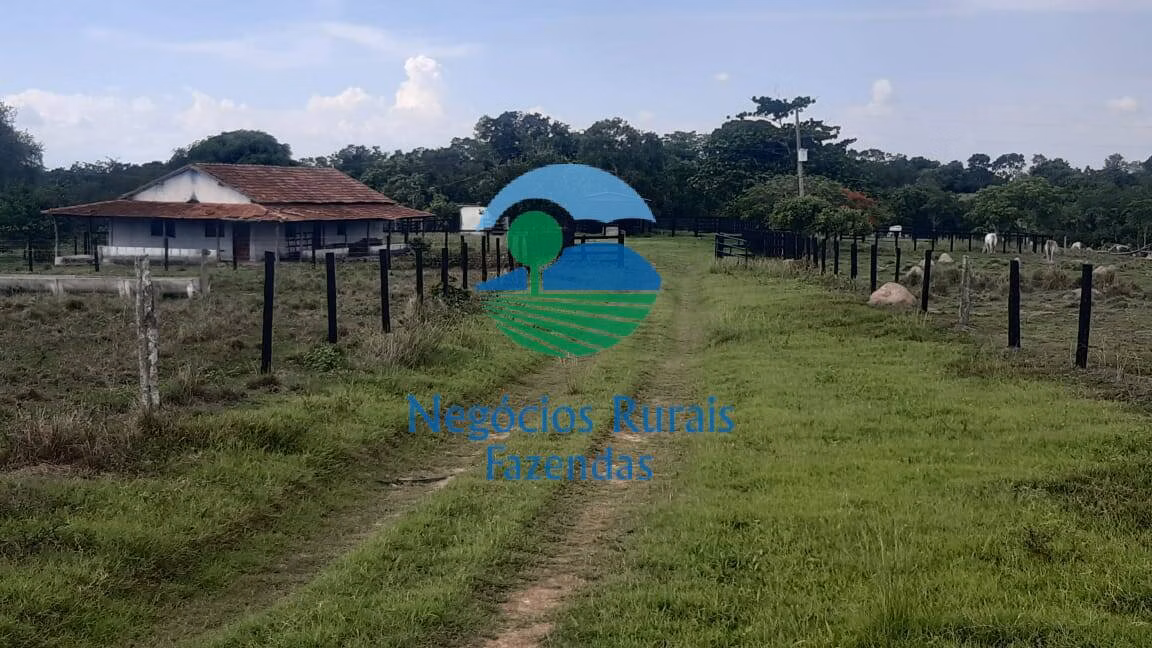 Fazenda de 484 ha em Crixás, GO