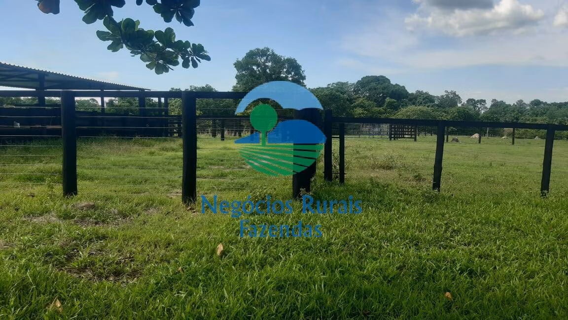 Fazenda de 484 ha em Crixás, GO