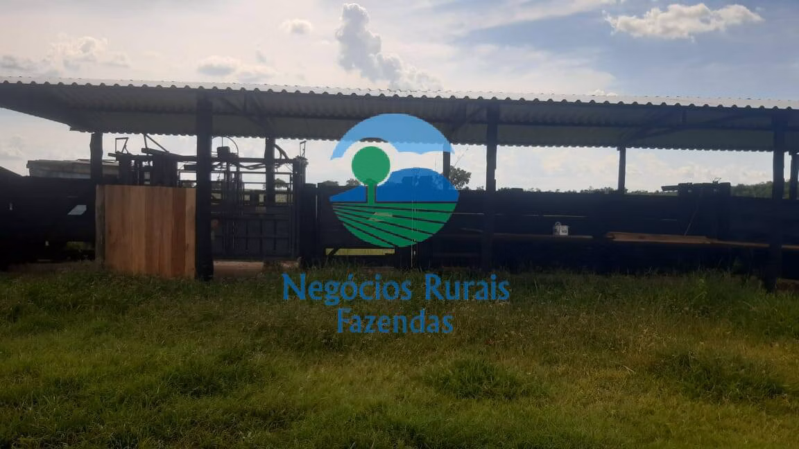 Fazenda de 484 ha em Crixás, GO