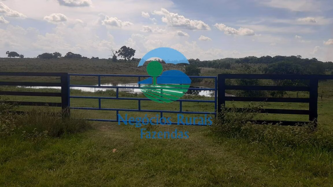 Fazenda de 484 ha em Crixás, GO