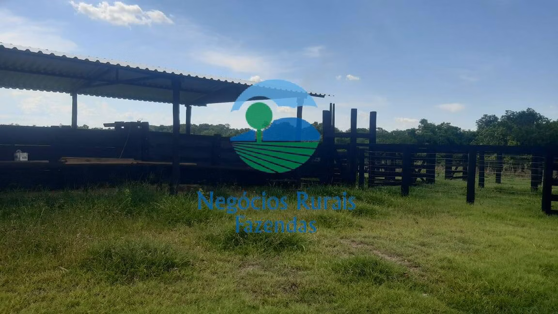 Fazenda de 484 ha em Crixás, GO