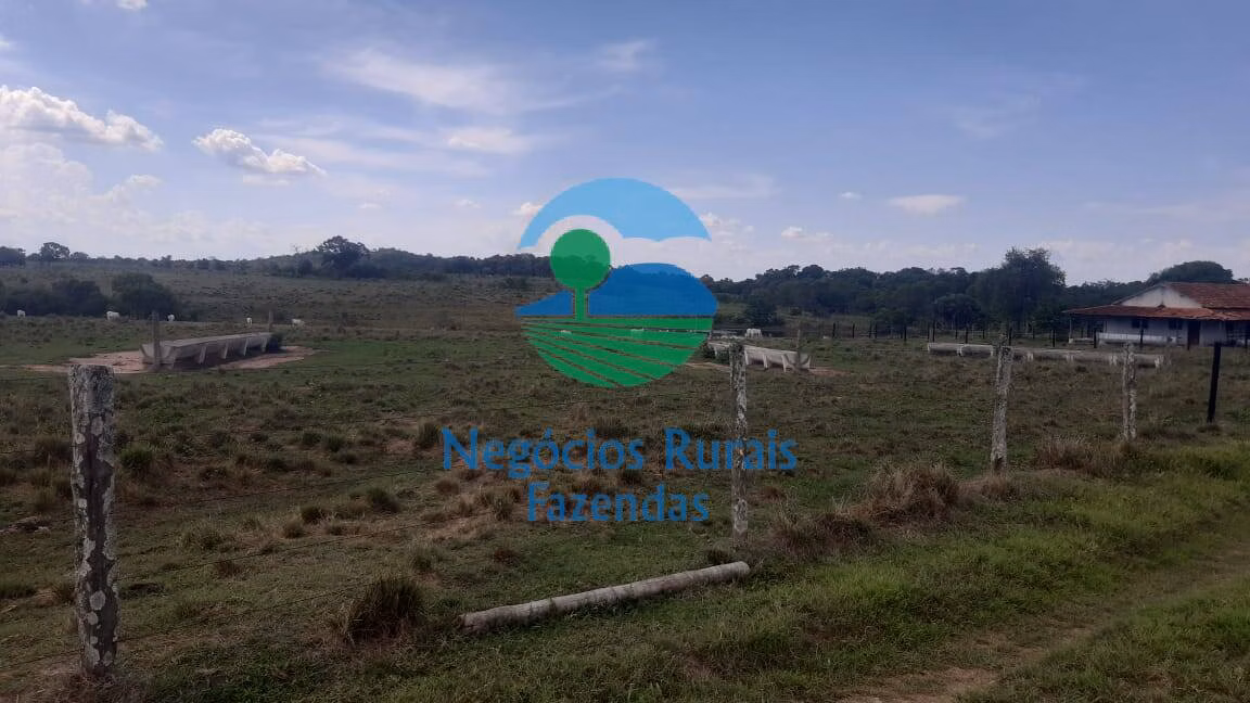 Fazenda de 484 ha em Crixás, GO
