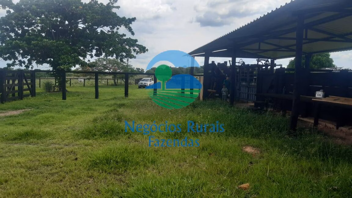Fazenda de 484 ha em Crixás, GO
