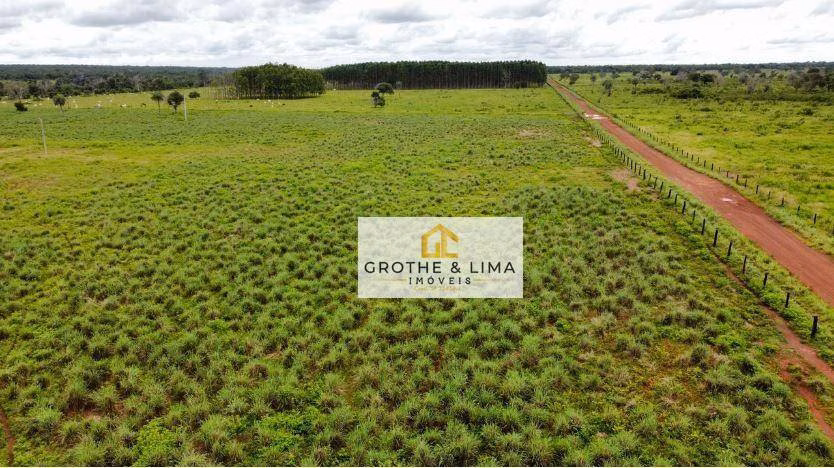 Farm of 19.016 acres in Formoso do Araguaia, TO, Brazil