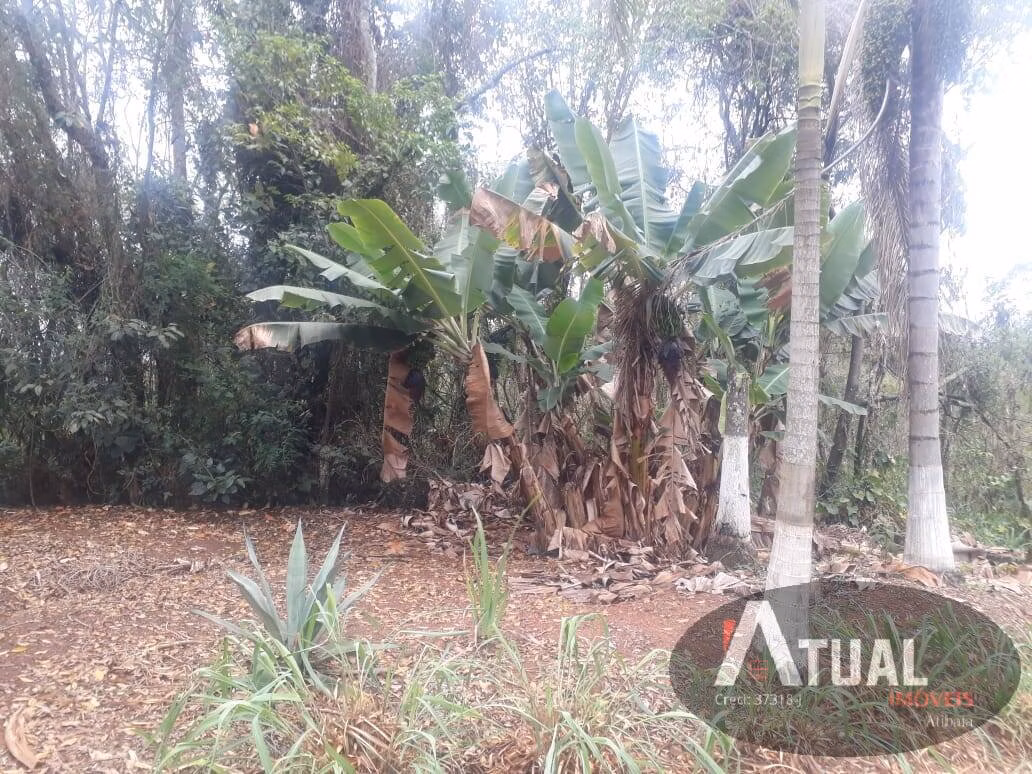 Chácara de 8 ha em Atibaia, SP