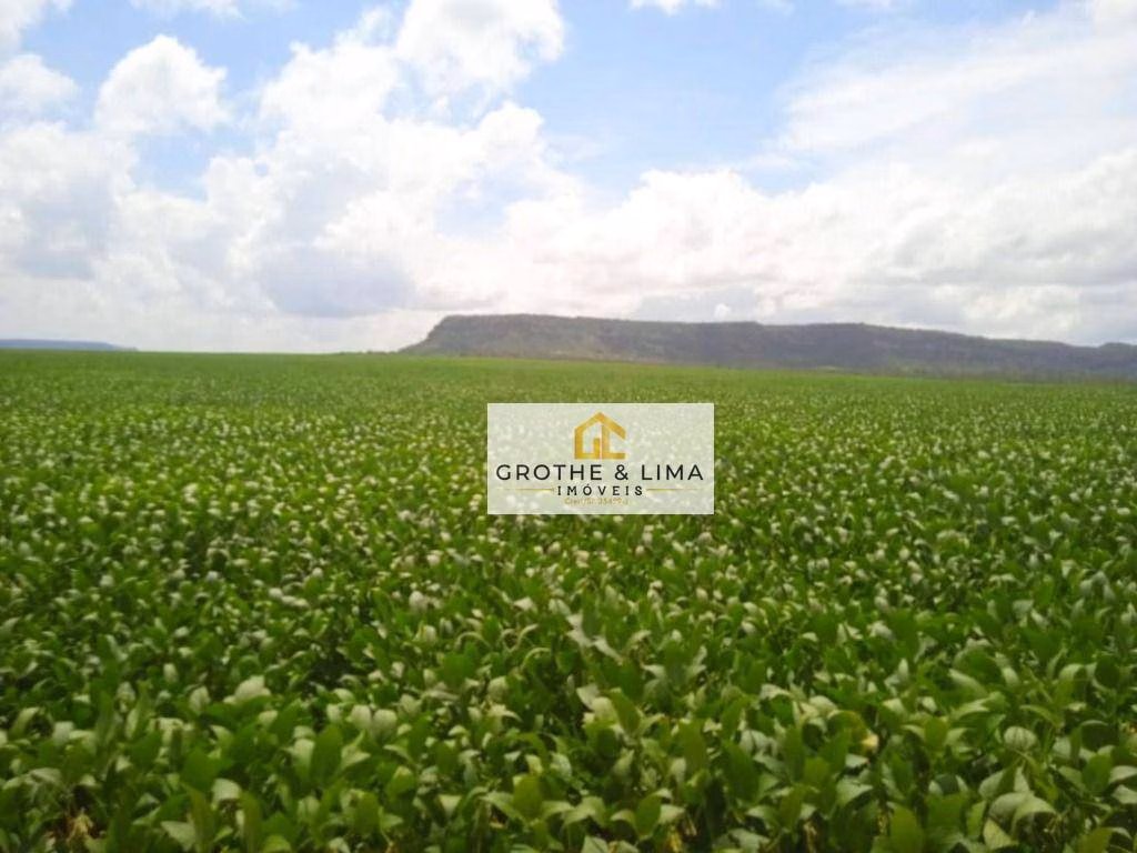Fazenda de 5.000 ha em Balsas, MA