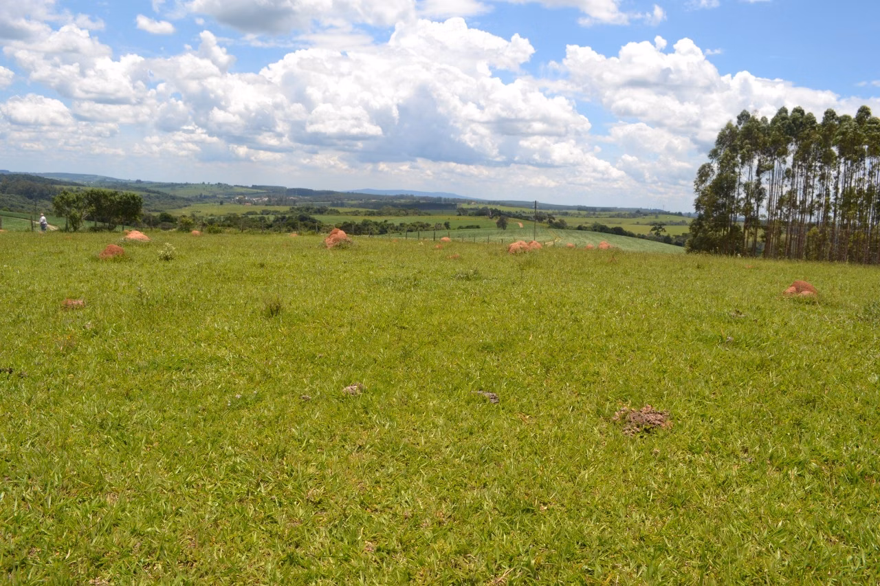 Fazenda de 392 ha em Itapetininga, SP
