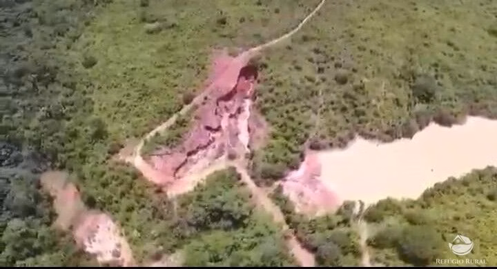 Farm of 51,892 acres in Tailândia, PA, Brazil