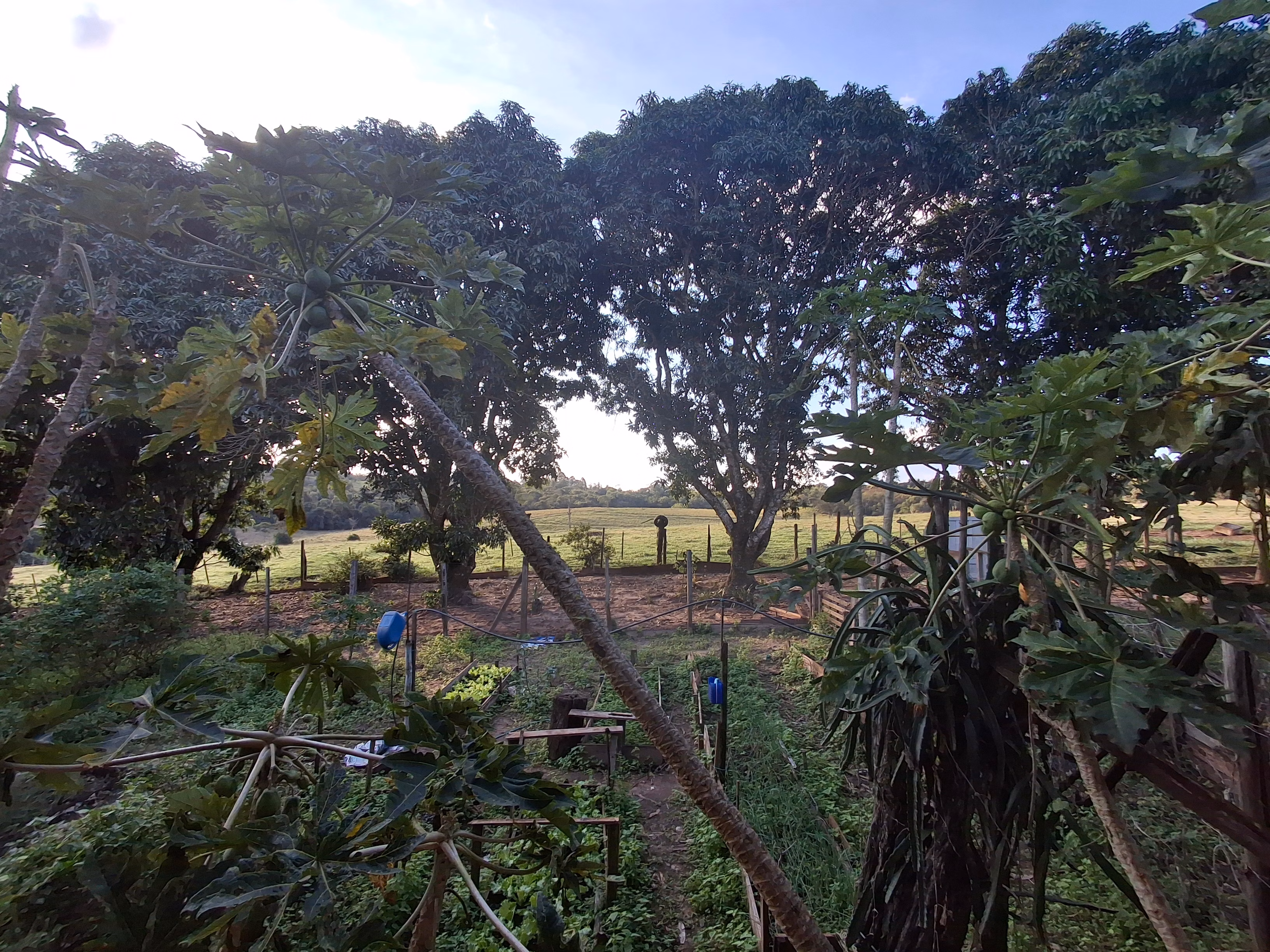Sítio de 44 ha em Piraju, SP
