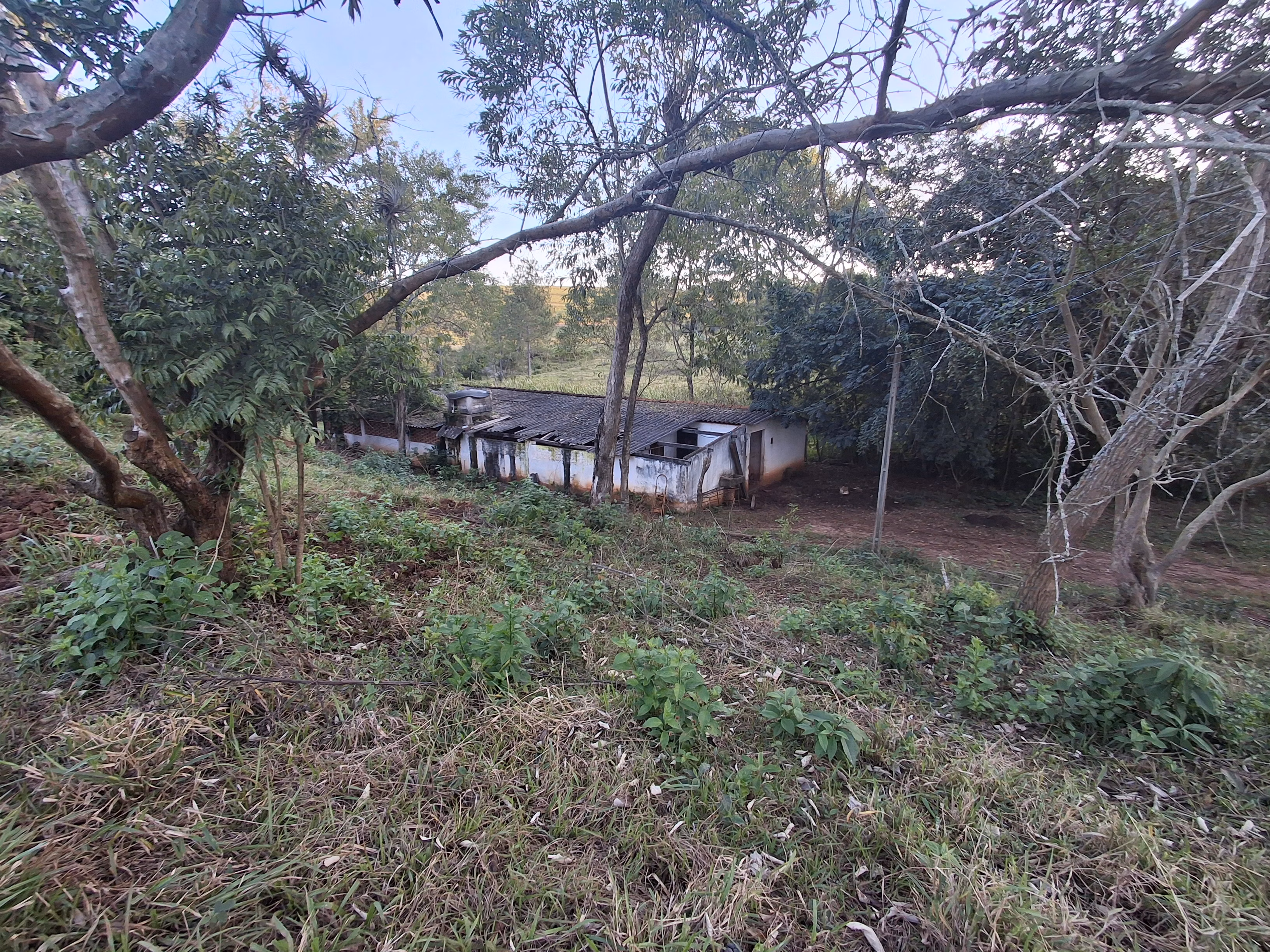 Sítio de 44 ha em Piraju, SP