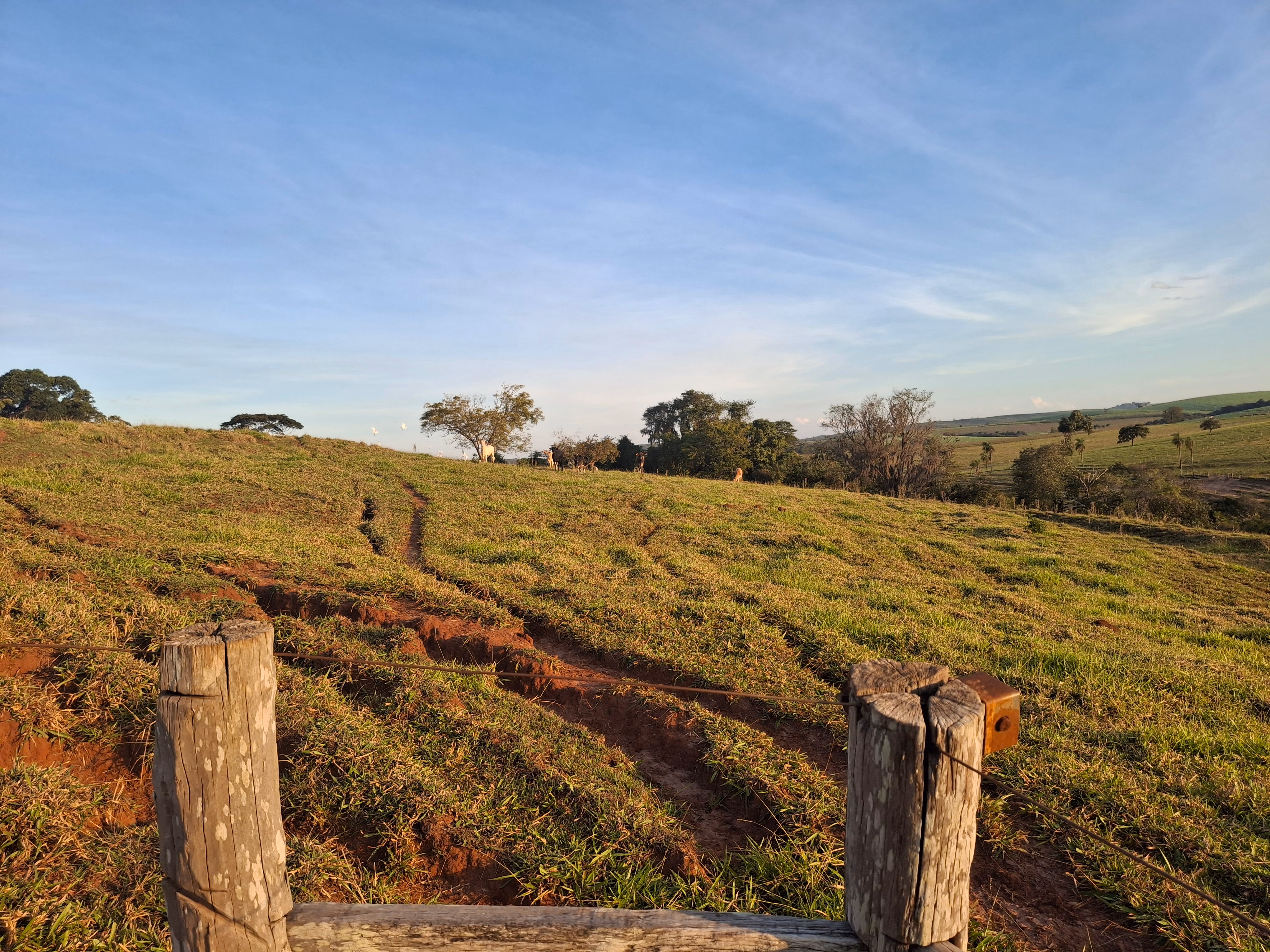 Sítio de 44 ha em Piraju, SP