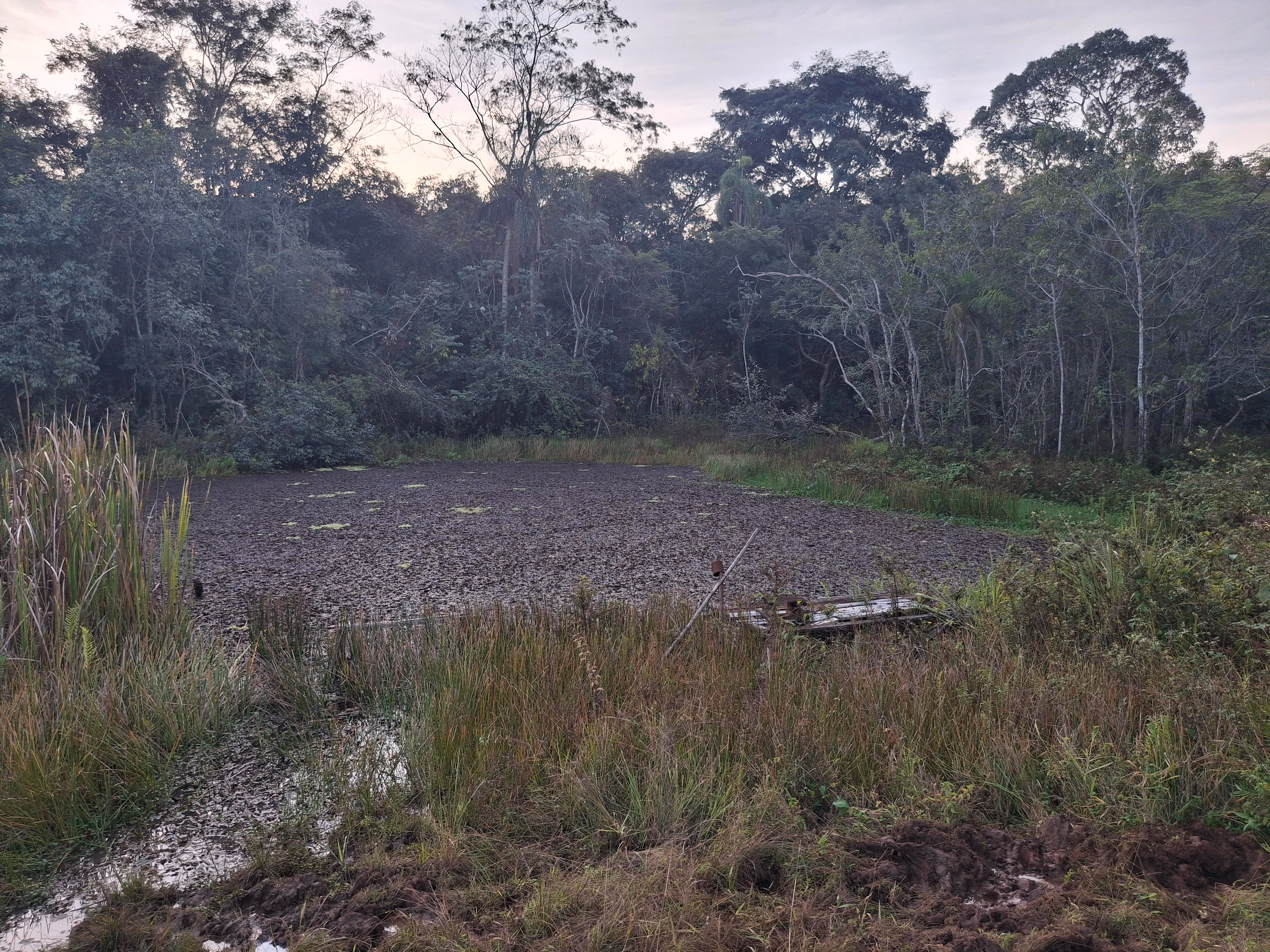 Sítio de 44 ha em Piraju, SP