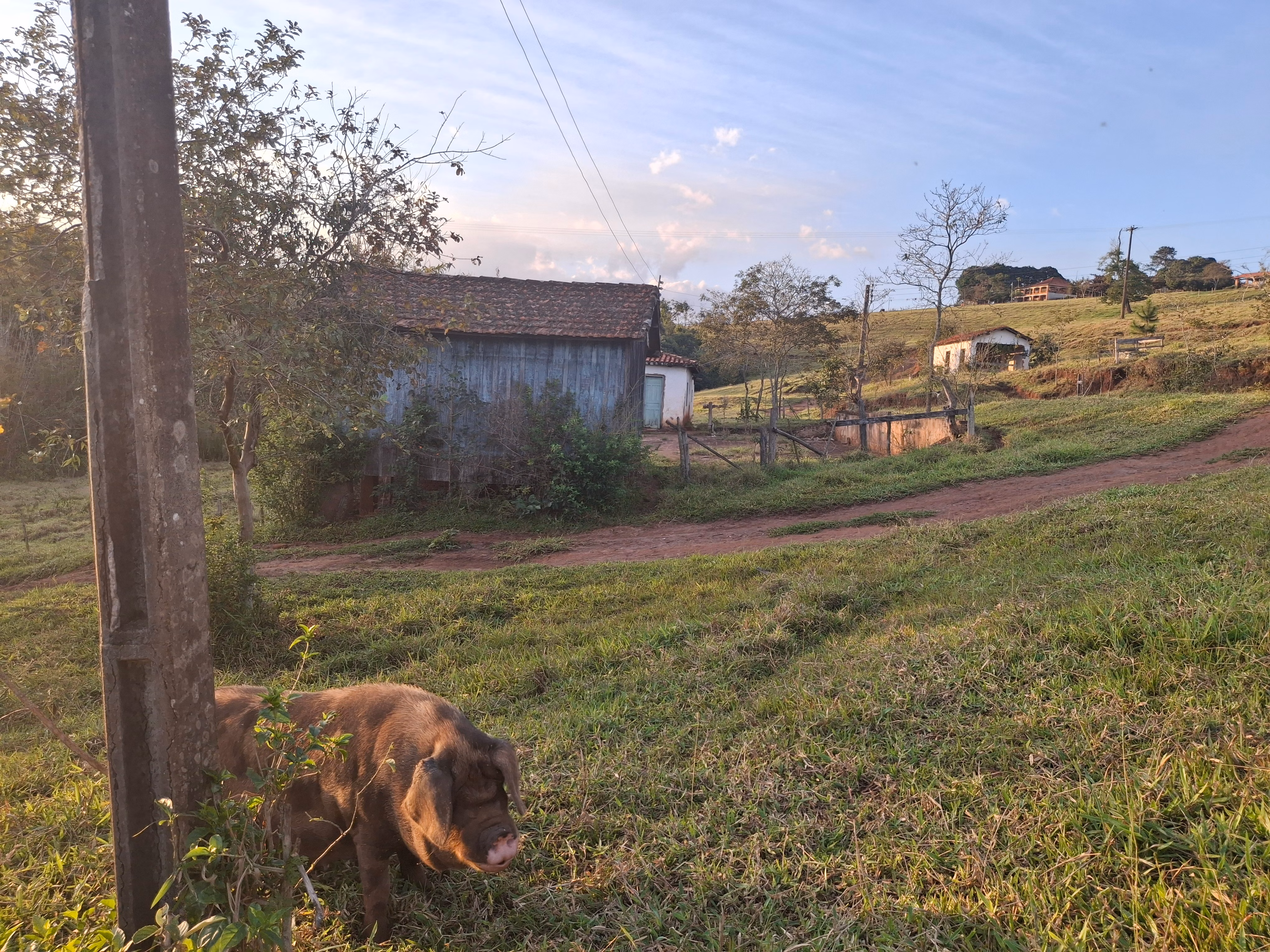 Sítio de 44 ha em Piraju, SP