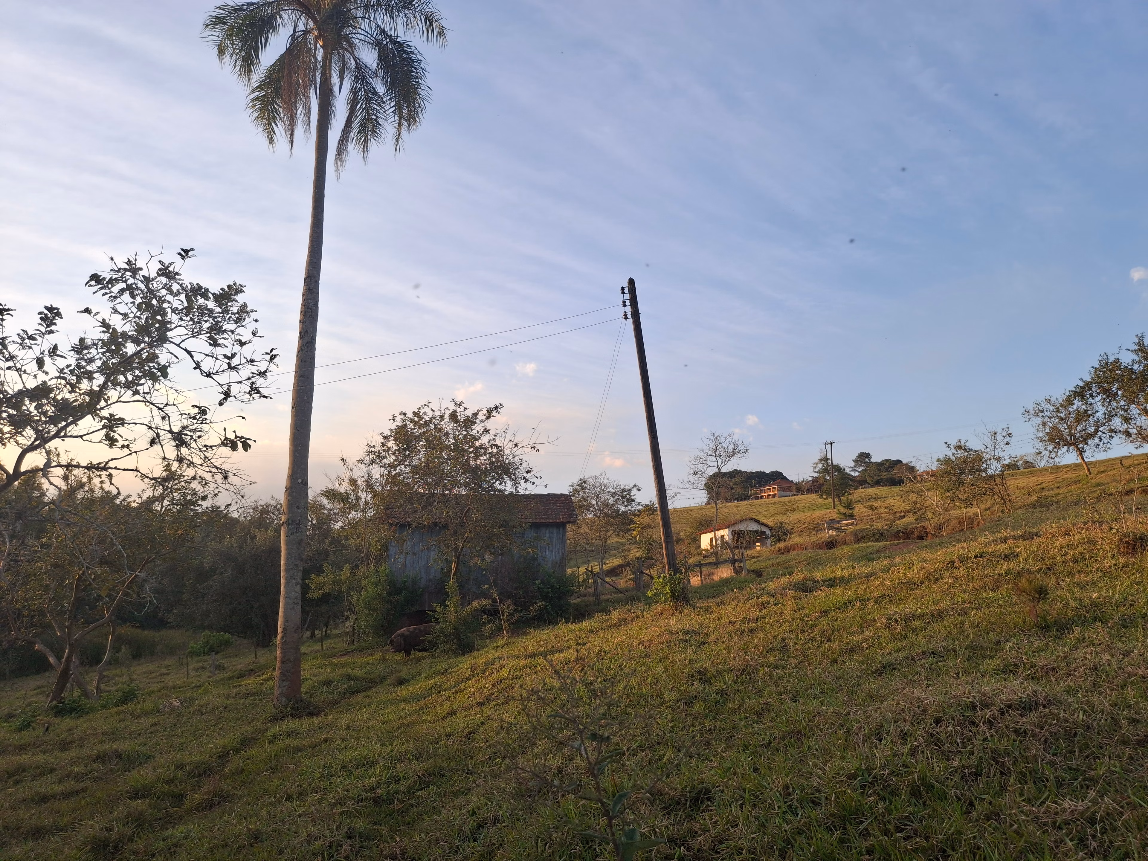 Sítio de 44 ha em Piraju, SP