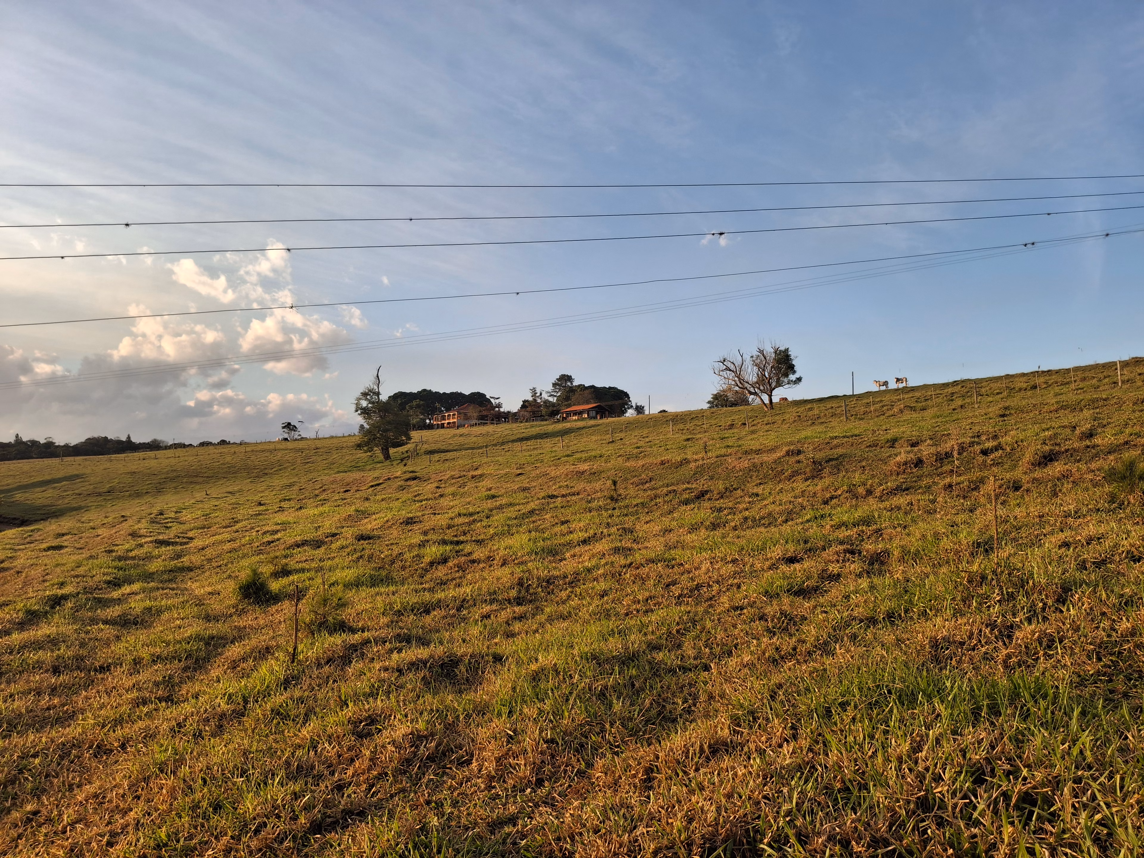 Sítio de 44 ha em Piraju, SP