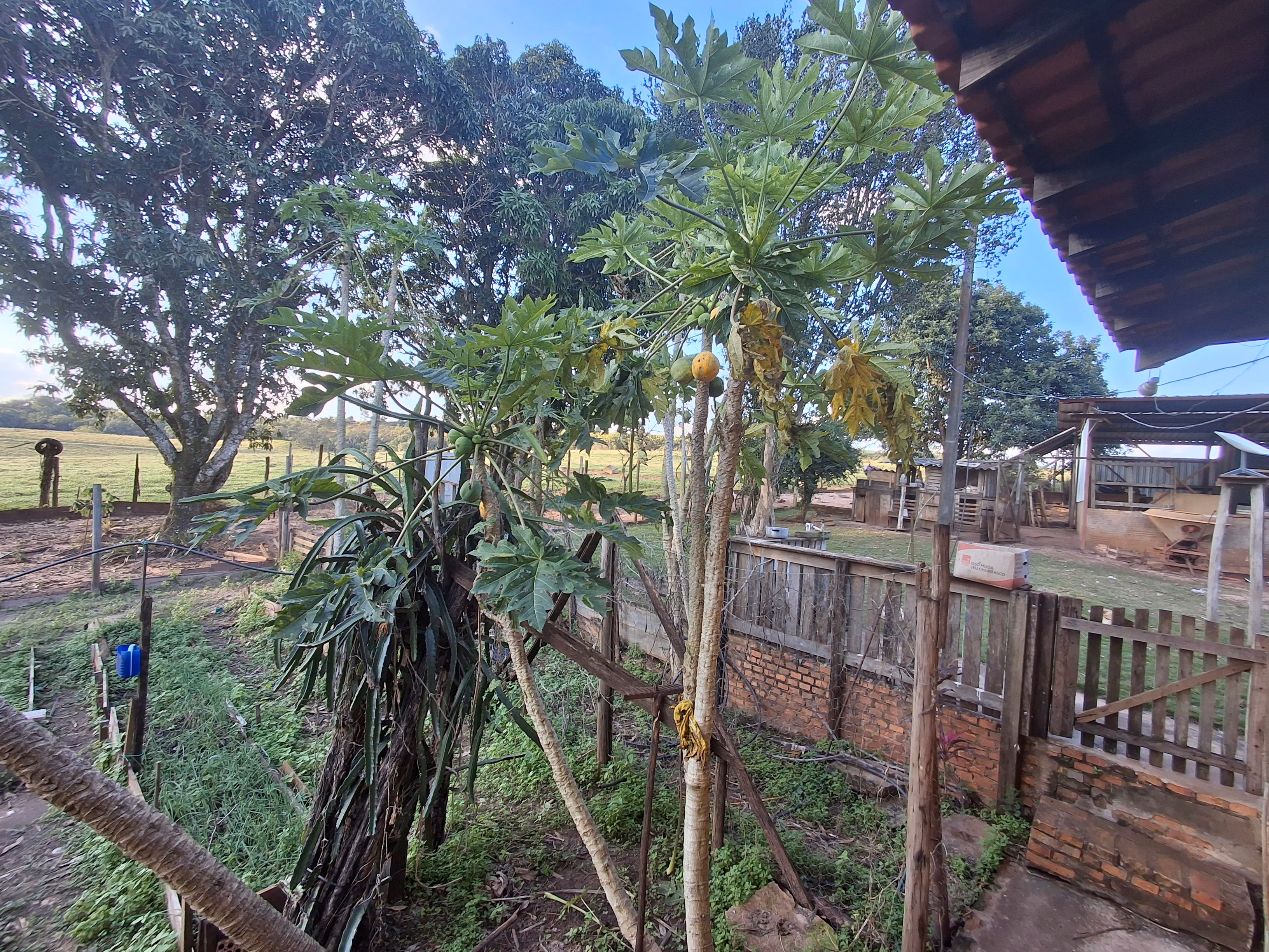 Sítio de 44 ha em Piraju, SP