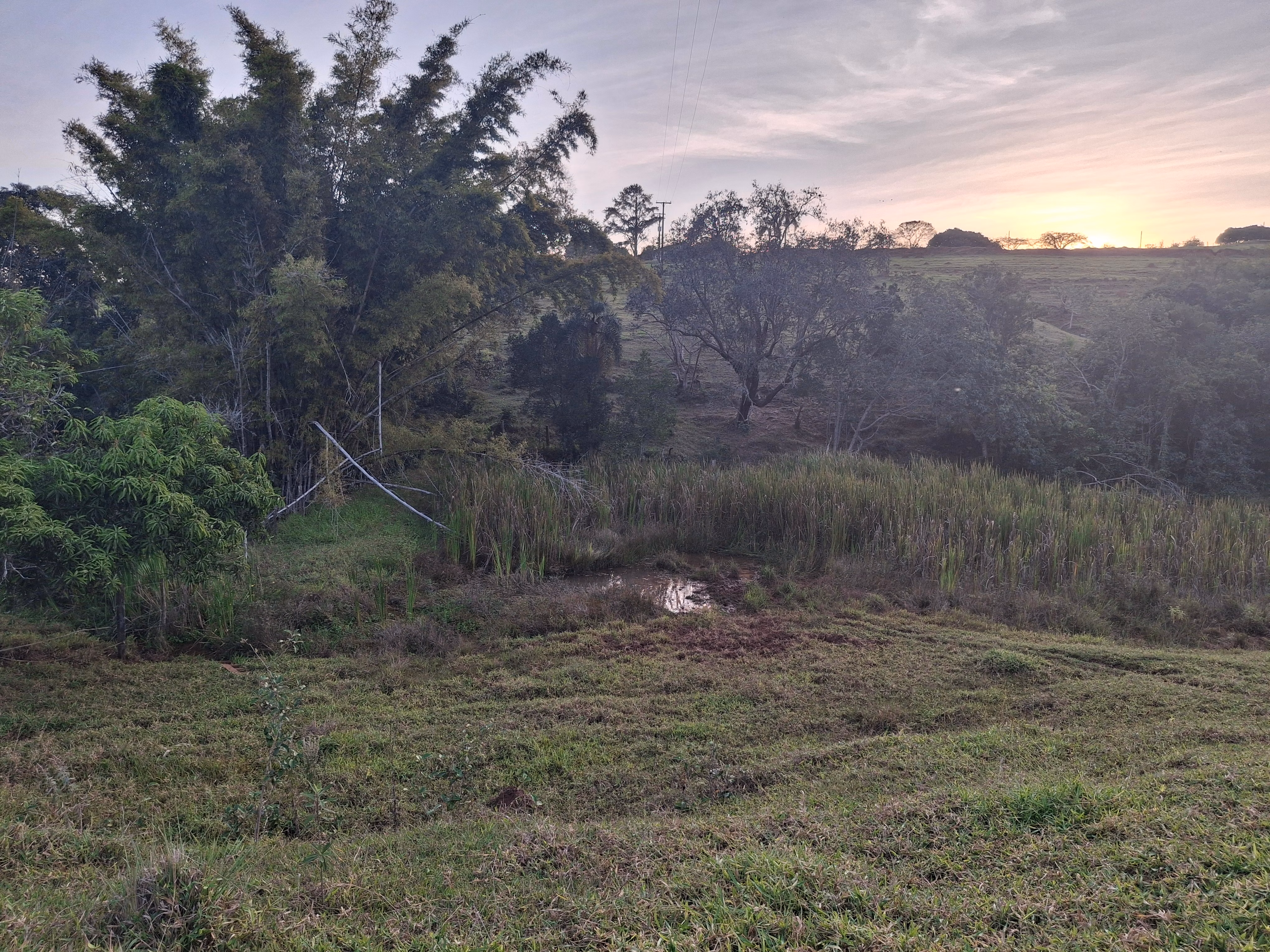 Sítio de 44 ha em Piraju, SP