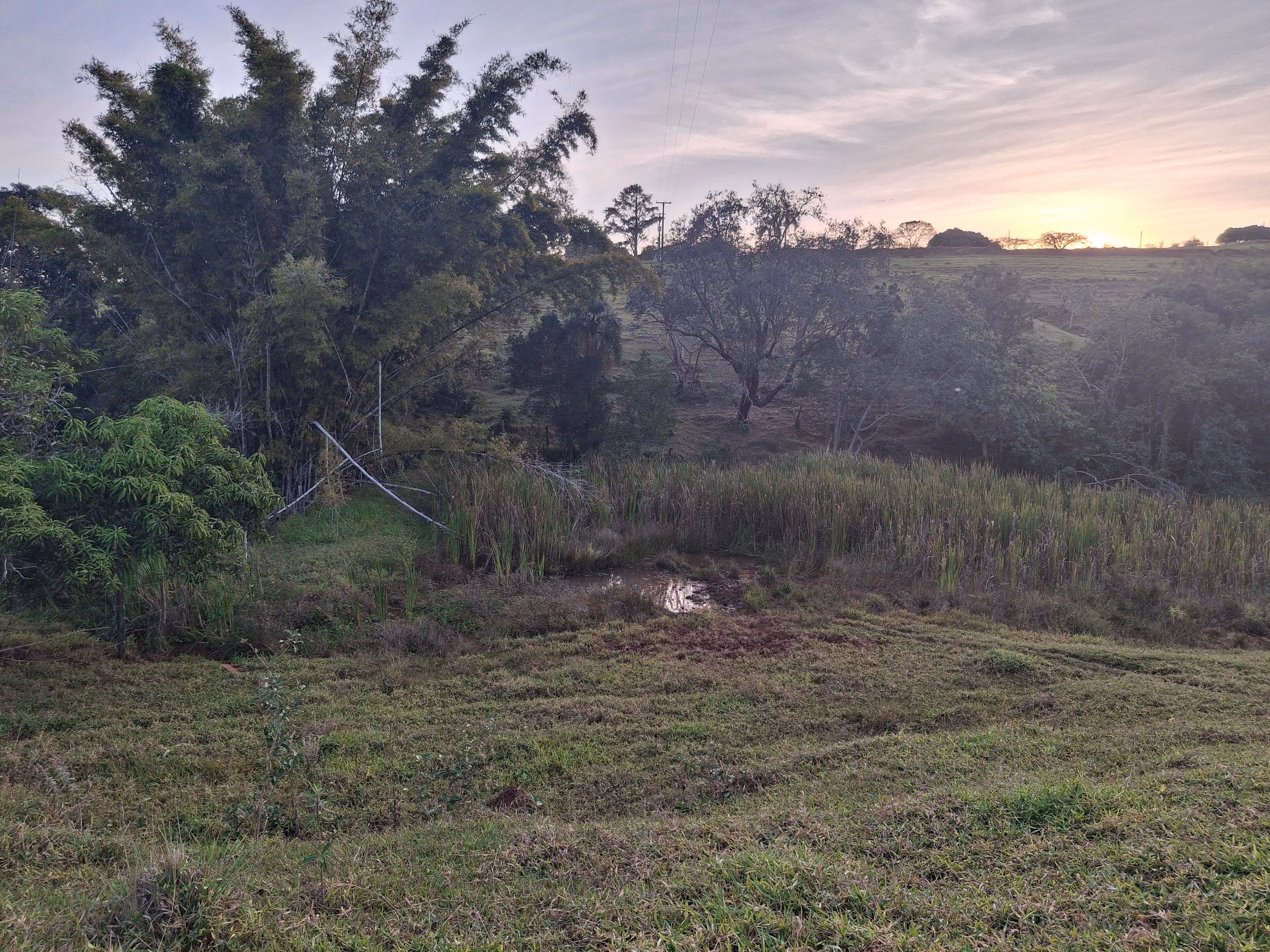 Sítio de 44 ha em Piraju, SP