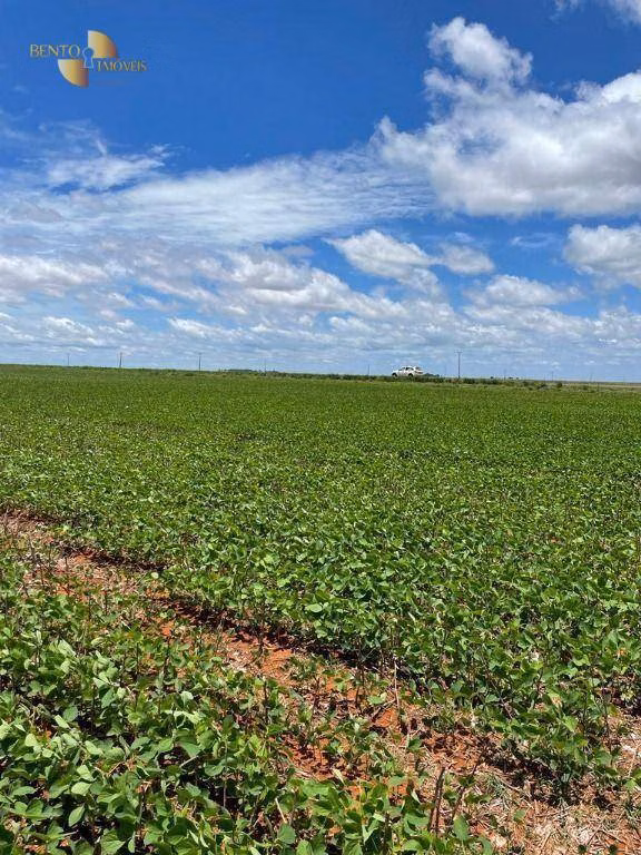 Fazenda de 890 ha em Diamantino, MT