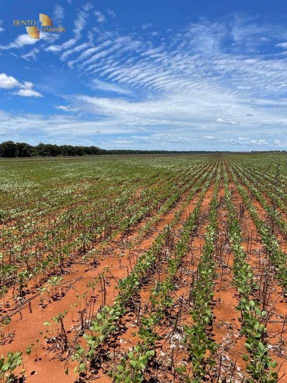 Fazenda de 890 ha em Diamantino, MT