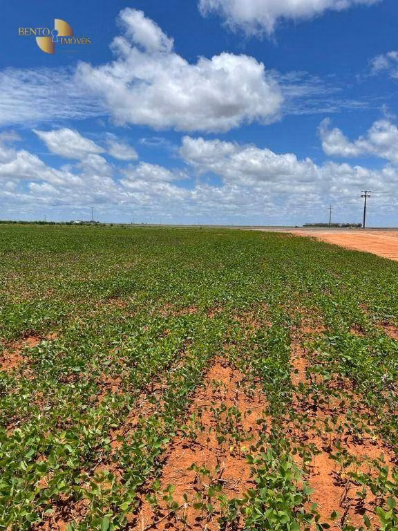 Fazenda de 890 ha em Diamantino, MT