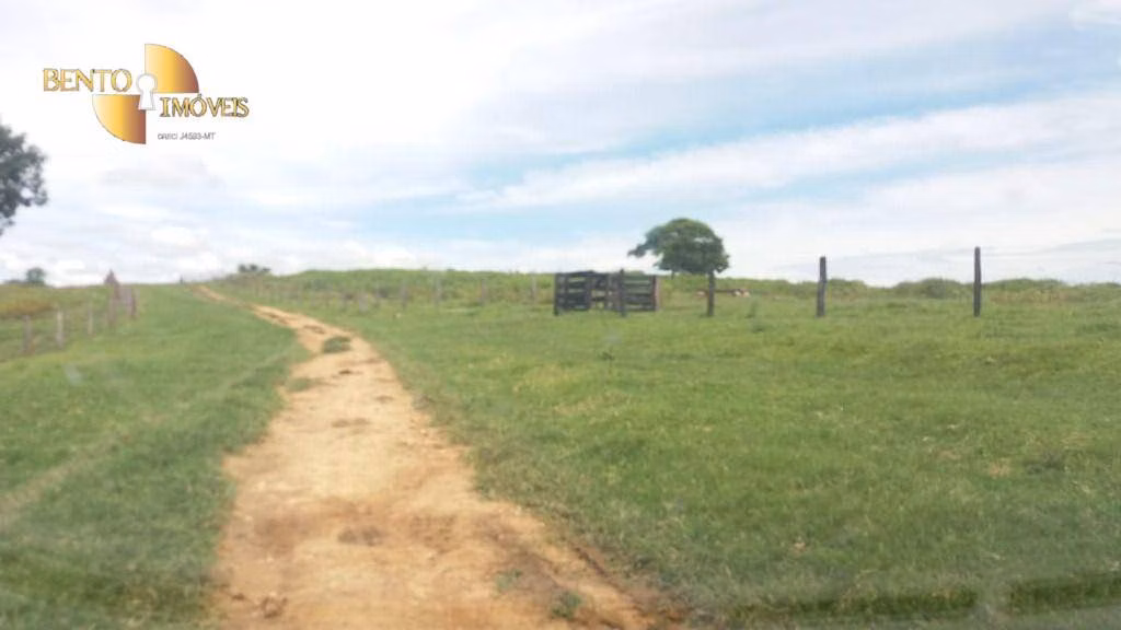 Fazenda de 3.950 ha em Nova Brasilândia, MT