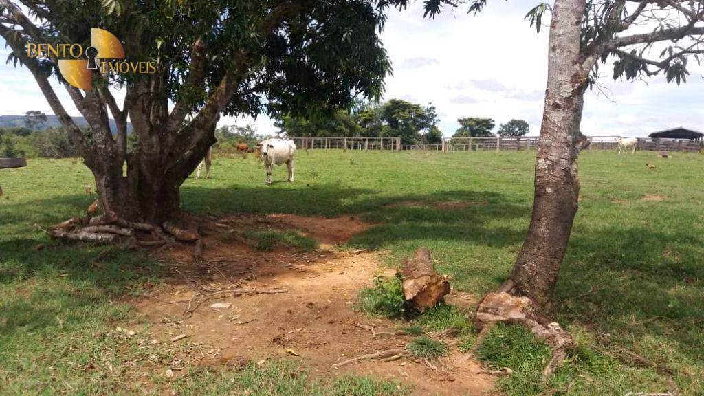 Fazenda de 3.950 ha em Nova Brasilândia, MT