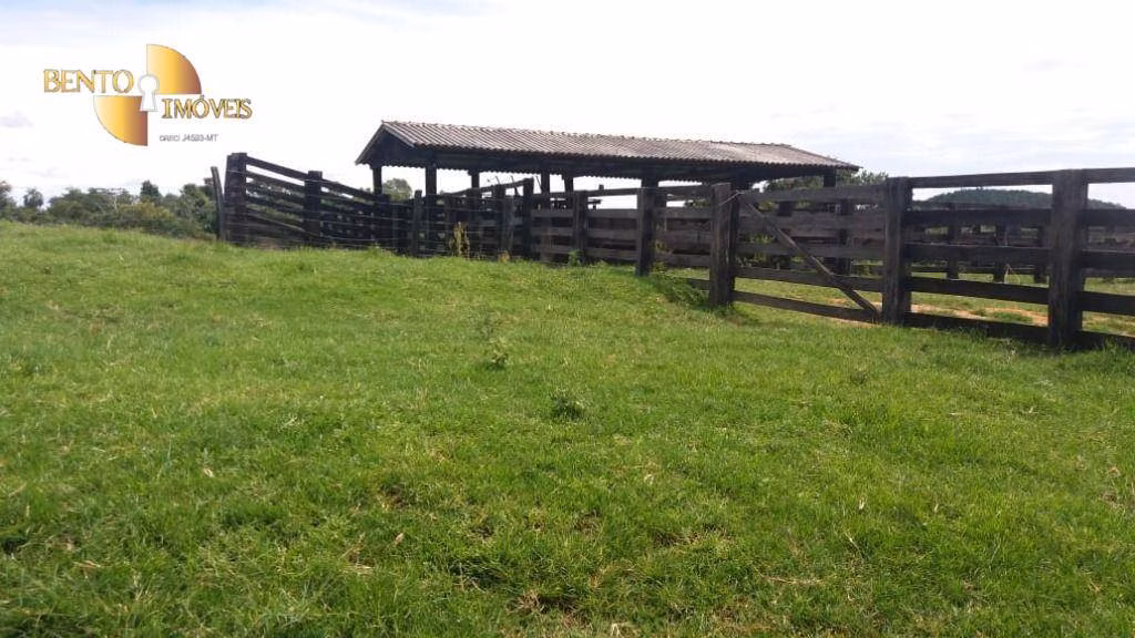 Fazenda de 3.950 ha em Nova Brasilândia, MT