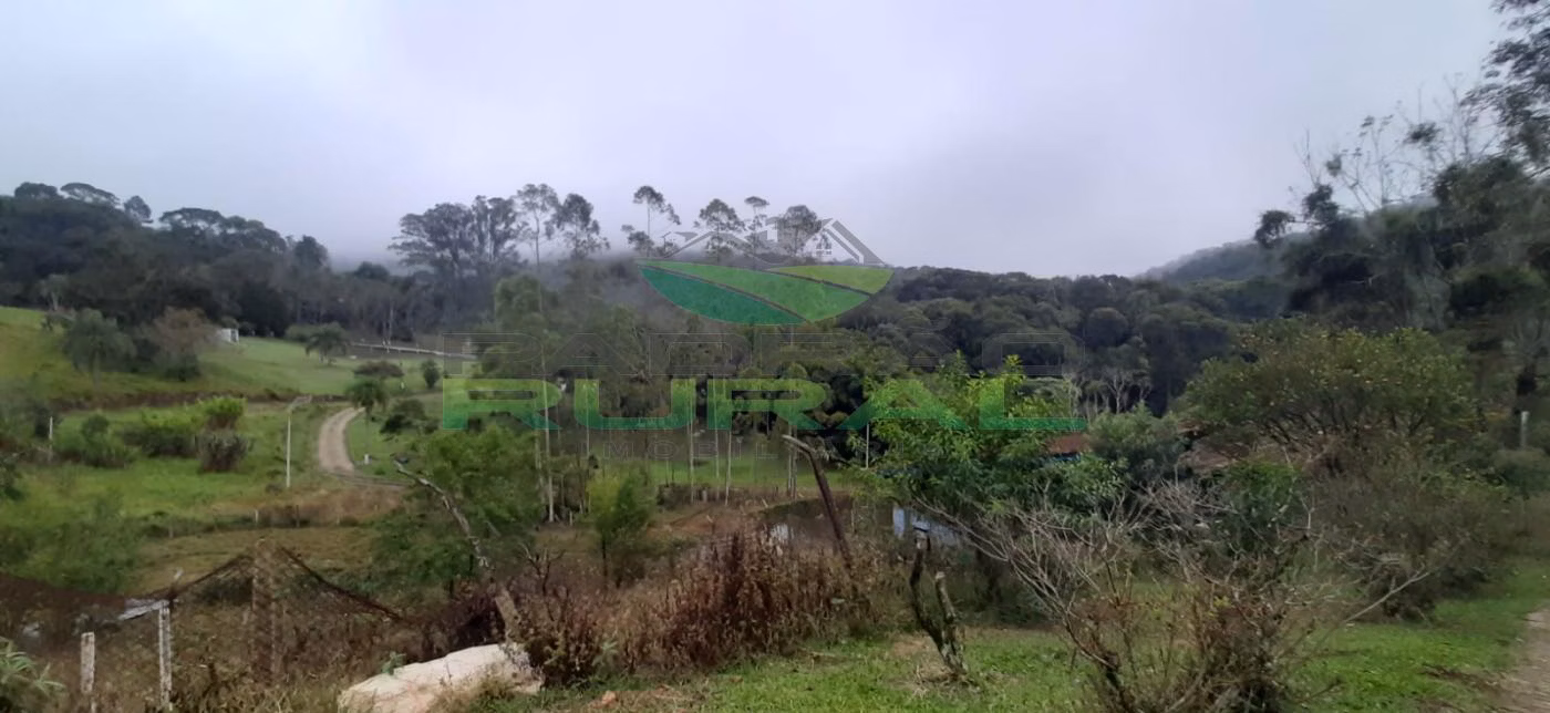 Sítio de 4 ha em São Roque, SP