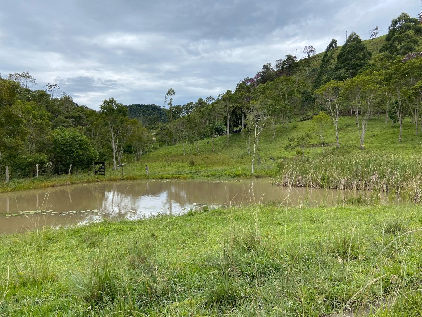 Sítio de 39 ha em São Luiz do Paraitinga, SP