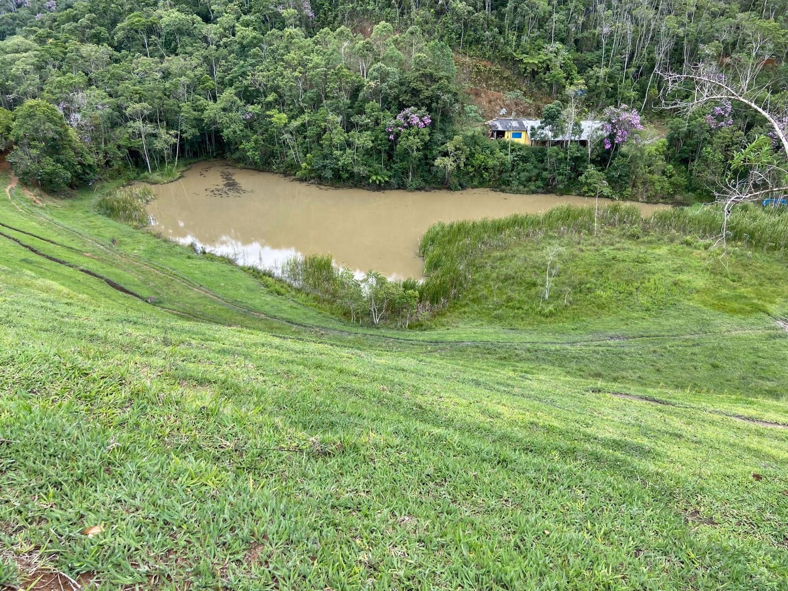 Sítio de 39 ha em São Luiz do Paraitinga, SP