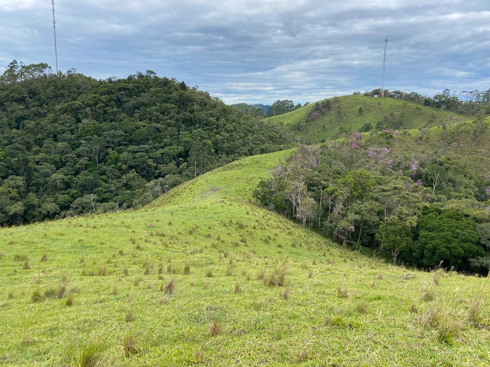 Sítio de 39 ha em São Luiz do Paraitinga, SP