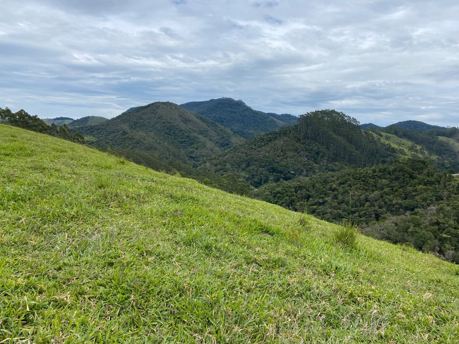 Sítio de 39 ha em São Luiz do Paraitinga, SP