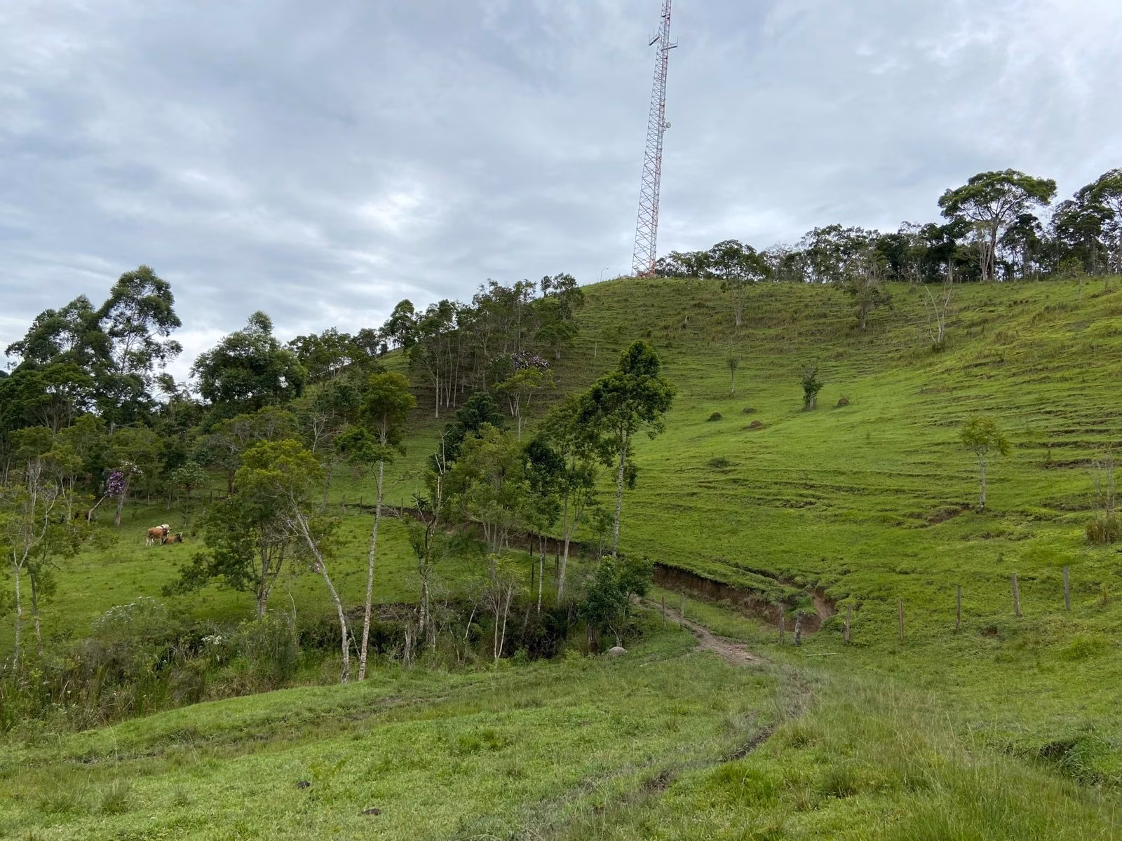 Sítio de 39 ha em São Luiz do Paraitinga, SP