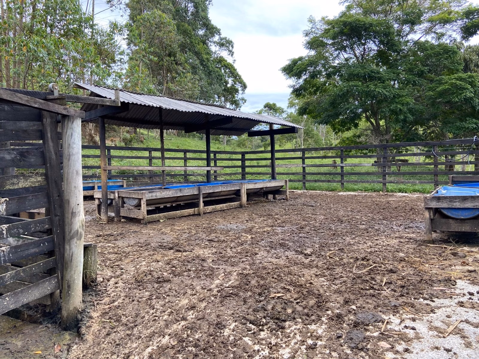 Sítio de 39 ha em São Luiz do Paraitinga, SP