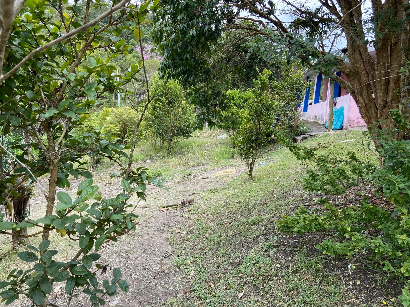 Sítio de 39 ha em São Luiz do Paraitinga, SP