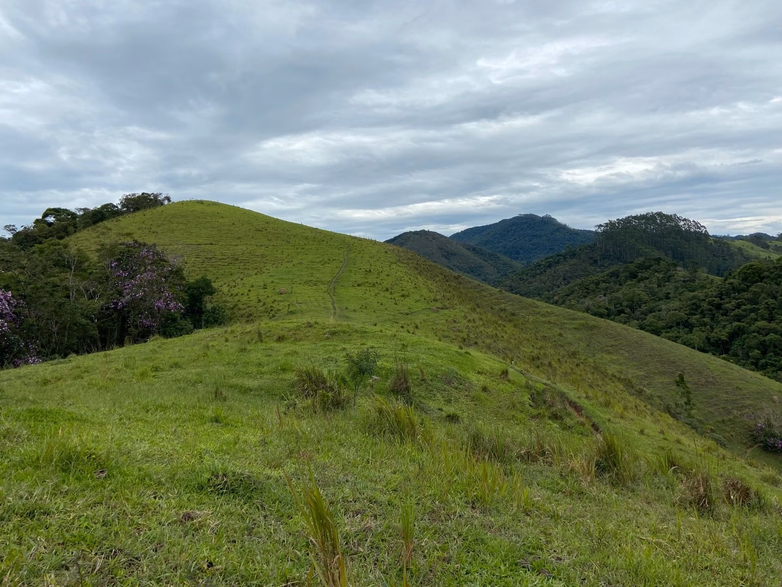 Sítio de 39 ha em São Luiz do Paraitinga, SP