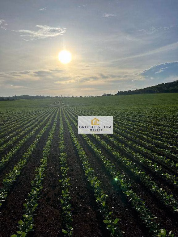 Farm of 3.169 acres in Araguaína, TO, Brazil